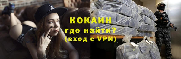 a pvp Ельня