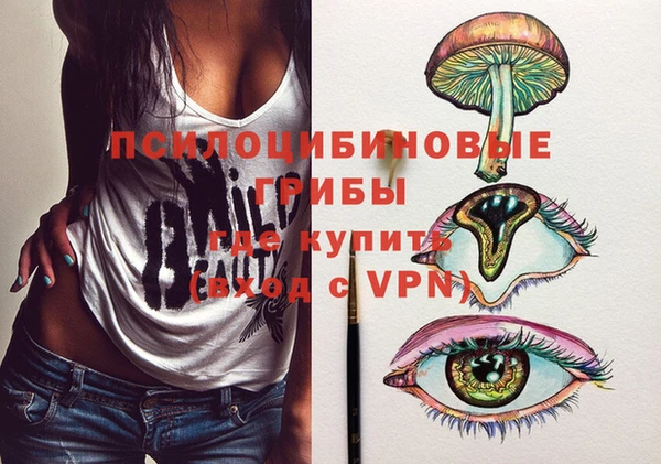 a pvp Ельня