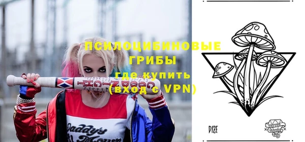 a pvp Ельня