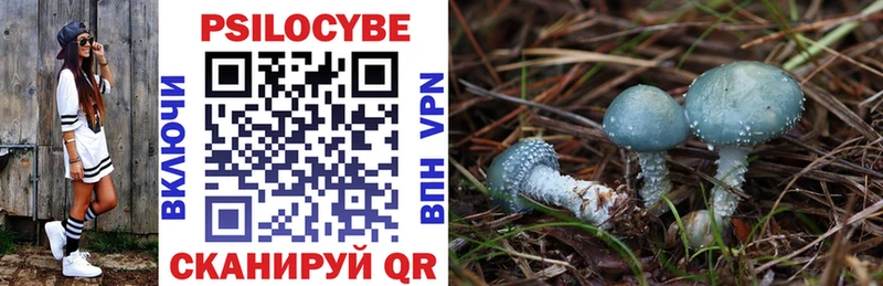 Купить закладки  Сухиничи  Галлюциногенные грибы Cubensis 